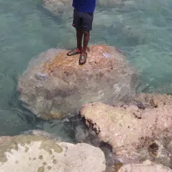 Nearby Beaches (Accessible by Road) - Acul-samedi