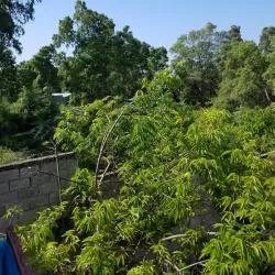 Nearby Beaches (Accessible by Road) - Acul-samedi