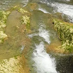 Surrounding Hills and Nature Trails - Acul-samedi