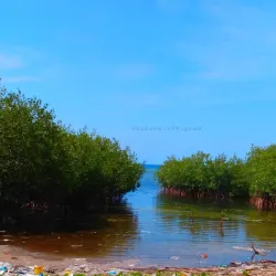 Fishing Villages - Anse-a-Galets