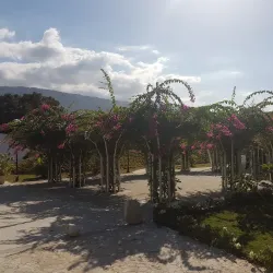 Independence Square - Arcahaie