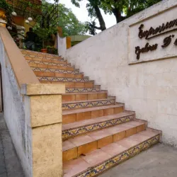 Art Galleries and Craft Shops - Delmas