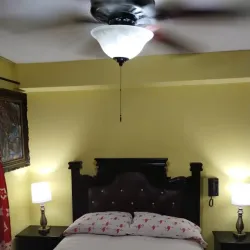 Local Haitian Cuisine Restaurants - Delmas