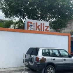 Local Haitian Cuisine Restaurants - Delmas