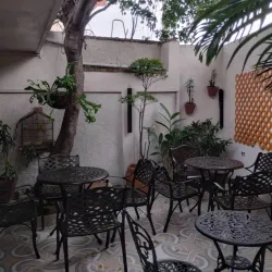 Local Haitian Cuisine Restaurants - Delmas