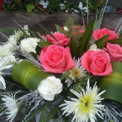 Place Saint-Pierre - Port-au-Prince - Delmas