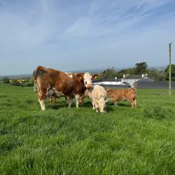 Agricultural Tours - Jean-Rabel