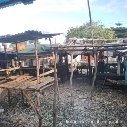 Les Cayes Market - Les Cayes