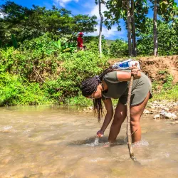 Agricultural Tours - Marmelade