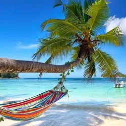 Cultural Festivals - Marmelade