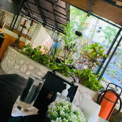 La Reserve Naturelle de Pétion-Ville - Pétion-Ville