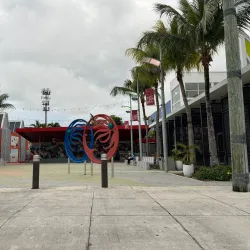 Haitian Cultural Center - St. John's