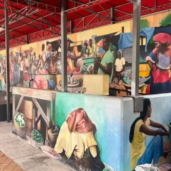 Haitian Cultural Center - St. John's