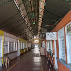 Local Artisans Market - St. John's