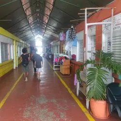 Local Artisans Market - St. John's