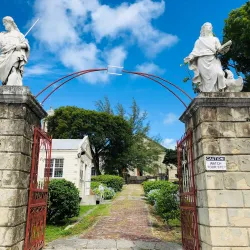 St. John's Cathedral - St. John's