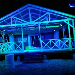 Community Art and Craft Workshops - Thomassique