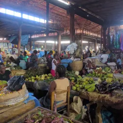 Local Markets of Thomassique - Thomassique