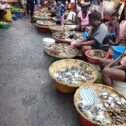 Local Markets of Thomassique - Thomassique