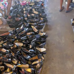 Local Markets of Thomassique - Thomassique