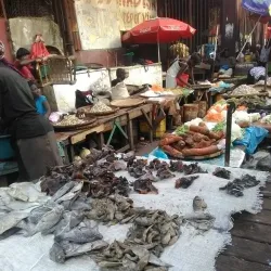 Local Markets of Thomassique - Thomassique