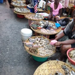 Local Markets of Thomassique - Thomassique