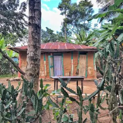 Artibonite Valley - Verrettes