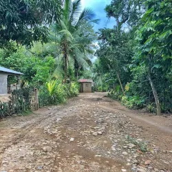 Artibonite Valley - Verrettes