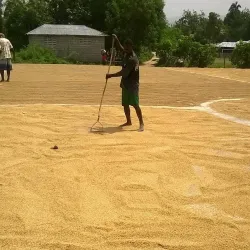 Nearby Rural Villages - Verrettes