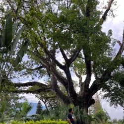 Catacamas Central Park (Parque Central) - Catacamas