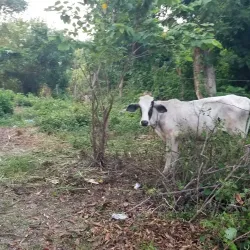 Parque La Libertad - Choloma