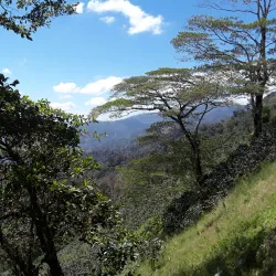 El Merendón National Park (nearby) - Cofradia