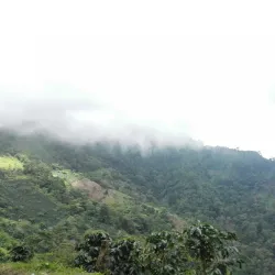 El Merendón National Park (nearby) - Cofradia