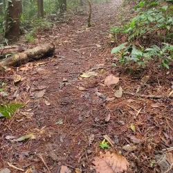 El Merendón National Park (nearby) - Cofradia
