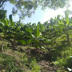 El Merendón National Park (nearby) - Cofradia