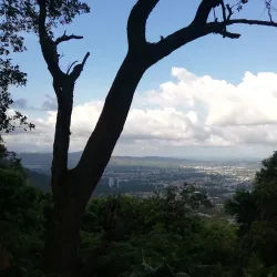 El Merendón National Park (nearby) - Cofradia
