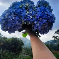 El Merendón National Park (nearby) - Cofradia