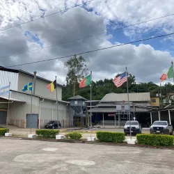 Nearby Coffee Plantations - Cofradia