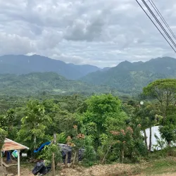 Nearby Coffee Plantations - Cofradia