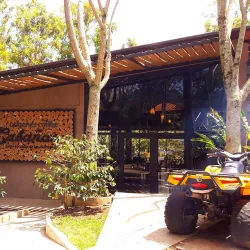 Nearby Coffee Plantations - Cofradia