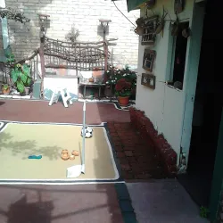 El Progreso Central Market - El Progreso