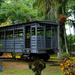 Museo Regional de Yoro - El Progreso