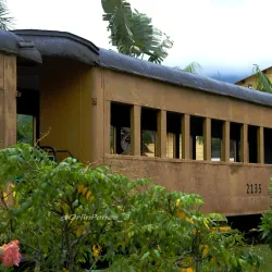 Museo Regional de Yoro - El Progreso