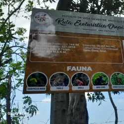 Yoro Waterfalls - El Progreso