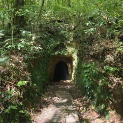 La Tigra National Park - Juticalpa