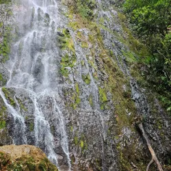 La Tigra National Park - Juticalpa