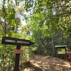 La Tigra National Park - Juticalpa