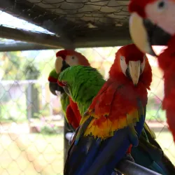 Parque Acuático Juticalpa - Juticalpa