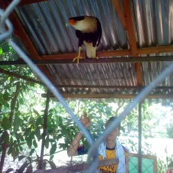 Parque Acuático Juticalpa - Juticalpa