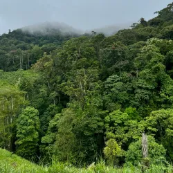 Reserva Biológica Montaña de Botaderos - Juticalpa